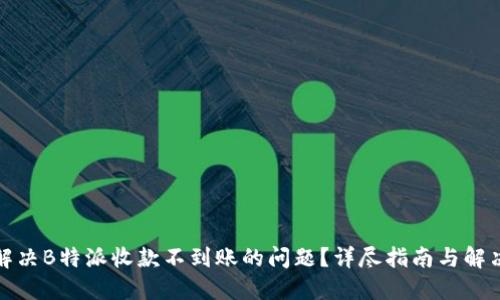 如何解决B特派收款不到账的问题?详尽指南与解决方案