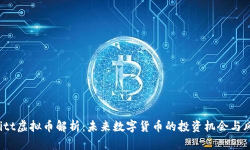 Witt虚拟币解析:未来数字货币的投资机会与风险