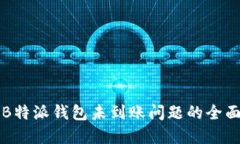解决B特派钱包未到账问题的全面指南