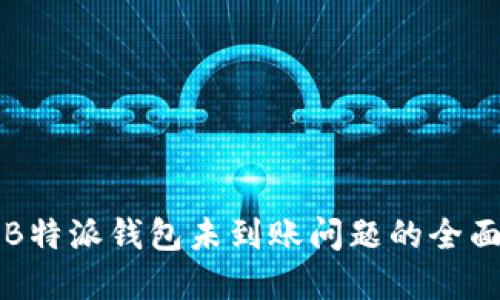 解决B特派钱包未到账问题的全面指南