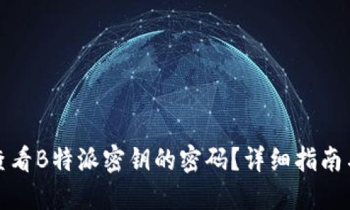 如何查看B特派密钥的密码？详细指南与解答
