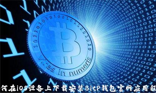如何在iOS设备上下载安装BitP钱包官网应用程序