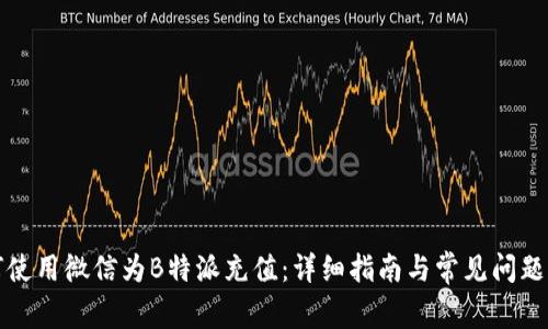 如何使用微信为B特派充值:详细指南与常见问题解答