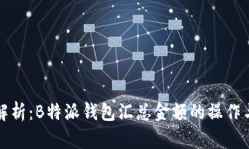 全面解析：B特派钱包汇总金额的操作与技巧