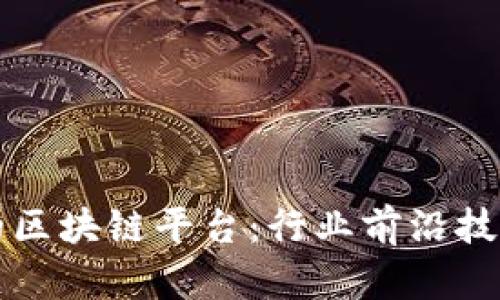 国内最牛的区块链平台:行业前沿技术的领跑者