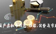 详解国产虚拟币钱包：功能、优势与市