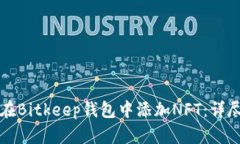 如何在Bitkeep钱包中添加NFT：详尽指南