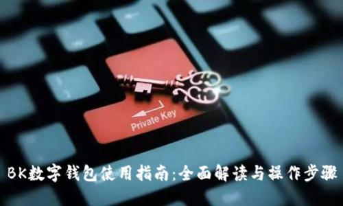 BK数字钱包使用指南:全面解读与操作步骤