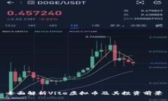 全面解析Vite虚拟币及其投资前景
