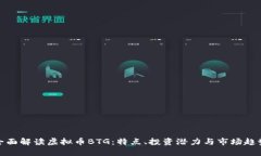 全面解读虚拟币BTG：特点、投资潜力与