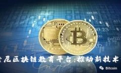 深入了解索尼区块链教育平台：推动新