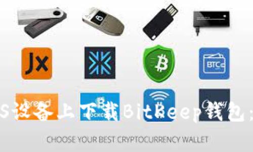 如何在iOS设备上下载BitKeep钱包：详细指南