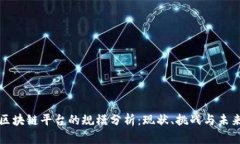 大型区块链平台的规模分析：现状、挑