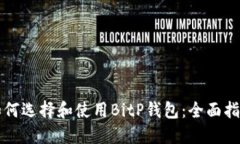 如何选择和使用BitP钱包：全面指南