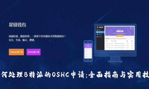 如何处理B特派的OSHC申请：全面指南与实用技巧