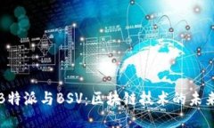 解密B特派与BSV：区块链技术的未来之