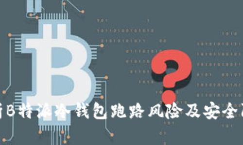 深入分析B特派冷钱包跑路风险及安全防范措施