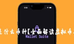 虚拟币是什么币种？全面解读虚拟币及