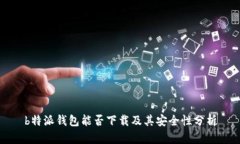 b特派钱包能否下载及其安全性分析