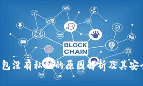 b特派钱包没有私钥的原因解析及其安全性分析