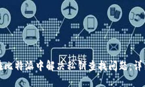 如何在比特派中解决私钥查找问题：详细指南