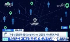   SDN虚拟币：投资前景与市场分析