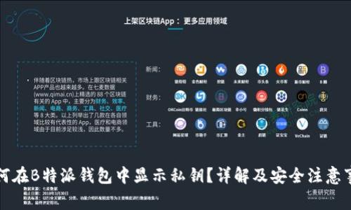 如何在B特派钱包中显示私钥？详解及安全注意事项