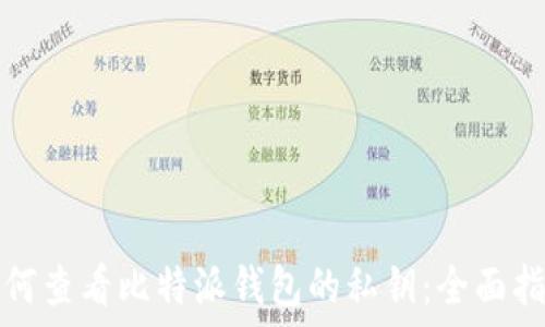   
如何查看比特派钱包的私钥：全面指南