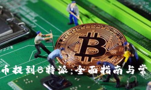 如何将BTT币提到B特派:全面指南与常见问题解答