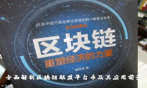 全面解析区块链联盟平台币及其应用前景