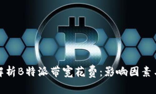 全面解析B特派带宽花费：影响因素与策略