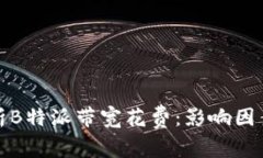 全面解析B特派带宽花费：影响因素与