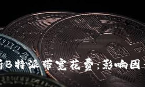 全面解析B特派带宽花费：影响因素与策略