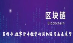 莱特币：数字货币投资的新机遇与未来