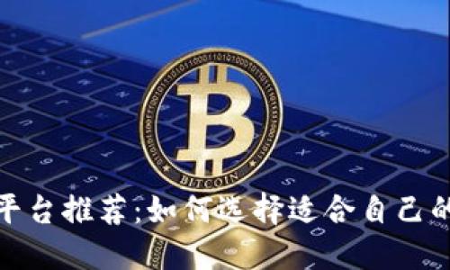 正规区块链平台推荐：如何选择适合自己的公链和私链