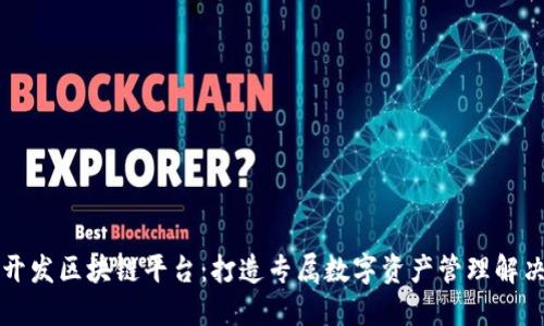 私人开发区块链平台:打造专属数字资产管理解决方案