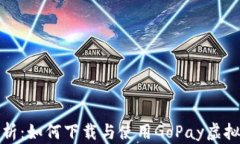 全面解析：如何下载与使用GoPay虚拟币
