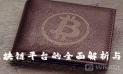 石家庄区块链平台的全面解析与应用前