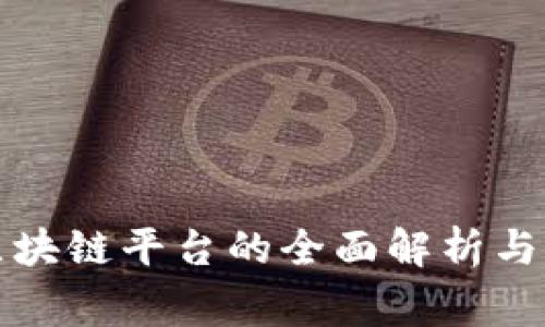 石家庄区块链平台的全面解析与应用前景