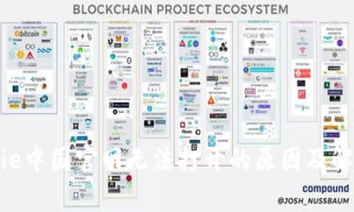 : Bitpie中国官网无法打开的原因及解决方法