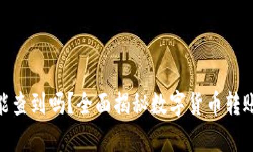 Bitpie转账公安能查到吗?全面揭秘数字货币转账监控与隐私保护