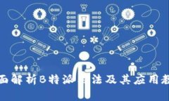 全面解析B特派用法及其应用教程