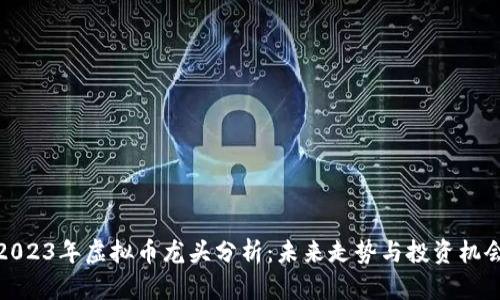 2023年虚拟币龙头分析:未来走势与投资机会