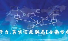 区块链平台：真实还是骗局？全面分析