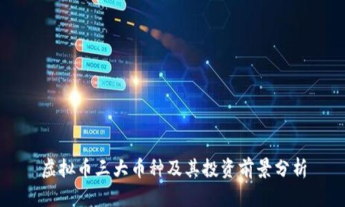 虚拟币三大币种及其投资前景分析