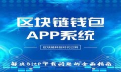 解决BitP下载问题的全面指南