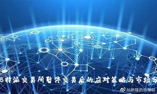 在B特派交易所暂停交易后的应对策略与市场分析