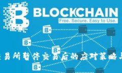 在B特派交易所暂停交易后的应对策略