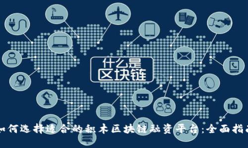 如何选择适合的积木区块链融资平台:全面指南