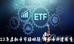   2023年虚拟币市场回顾：哪些币种遭遇